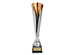 Coupe classique argent/bronze haute