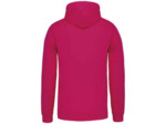 Sweatshirt capuche contrastée homme