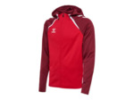 Lead 2.0 zip hoodie homme