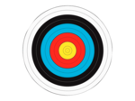 Lot de 12 blasons cibles 40 cm
