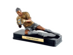 Trophee resine gardien 35x23cm