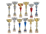 Lot de 12 coupes 2023 h moy 36,8cm