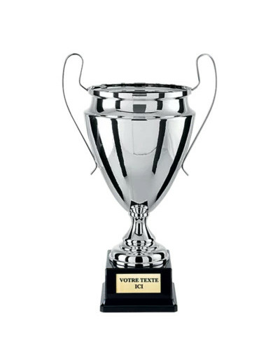 Coupe argent h.44cm bol diam180mm