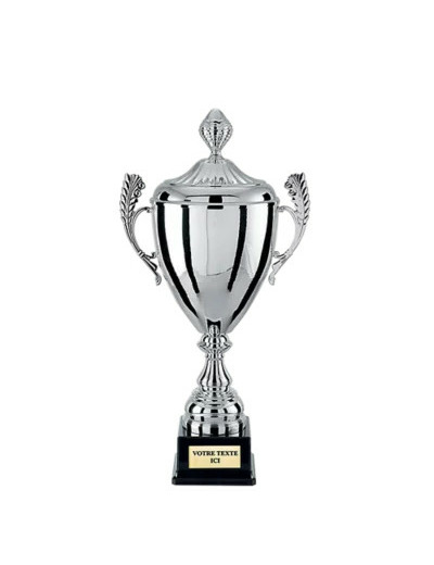 Coupe argt 53cm + couvercle bol