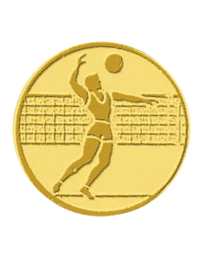 Pa 104 volley homme alu 50mm