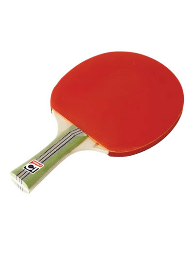 Raquette de tennis de table