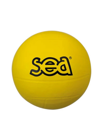 Ballon multisport