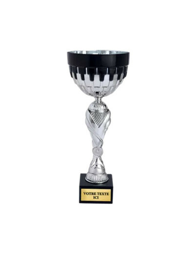 Coupe classique argent/noir(e) haut