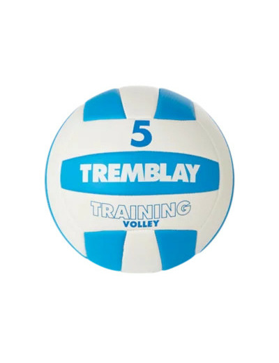 Ballon volley training volley taille 5