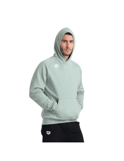 Sweat a capuche team panel