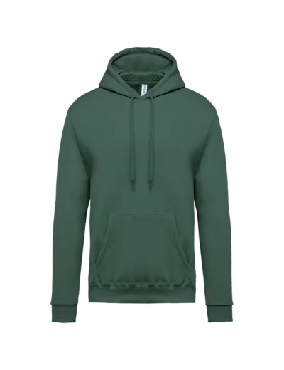 Couleur-6013c292-d2fa-4f20-a496-58a6ddf2f142