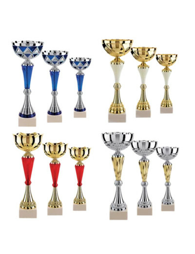 Lot de 12 coupes 2023 h moy 34,6cm