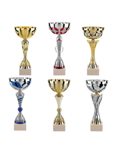 Lot de 6 coupes 2023 h moy 35,80cm