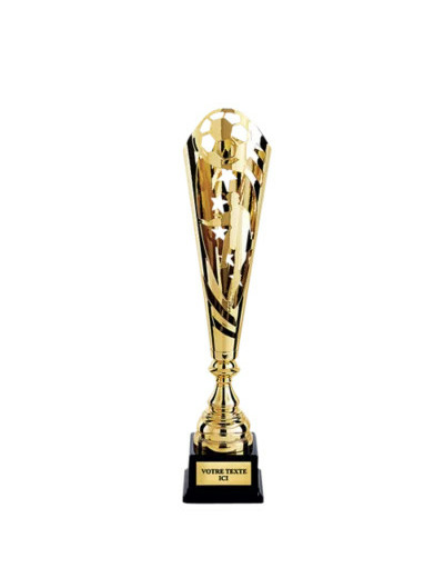 Coupe discipline or h 48 cm