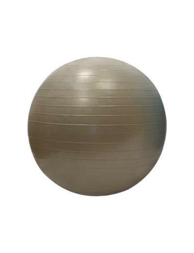 Gymball/balle gymnique 55cm