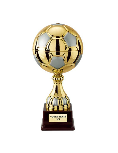 Trophee ballon de foot 38cm