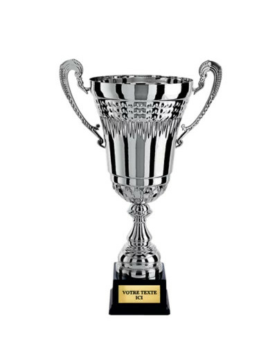 Coupe prestige arg h 49 cm d 200 mm