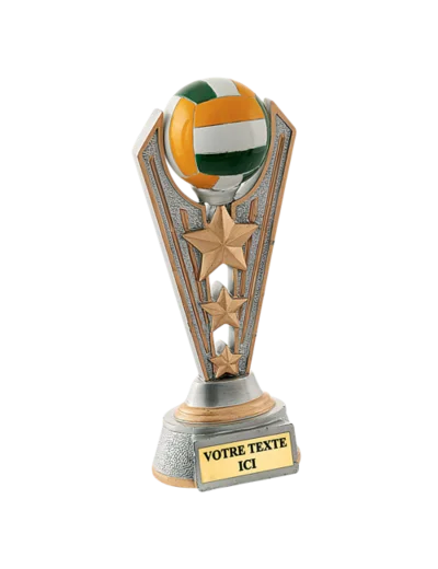 Trophee resine volley h. 24 cm