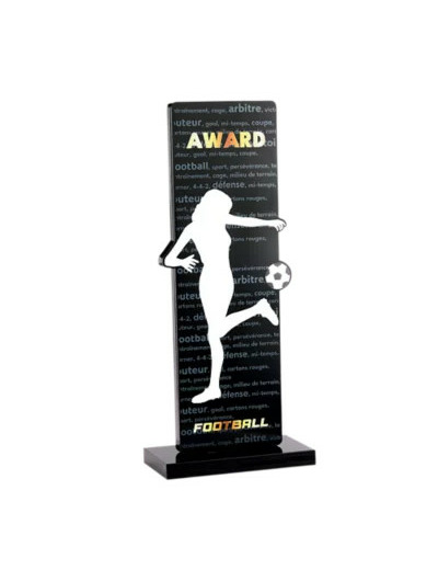Trophee acrylique personnalisable n