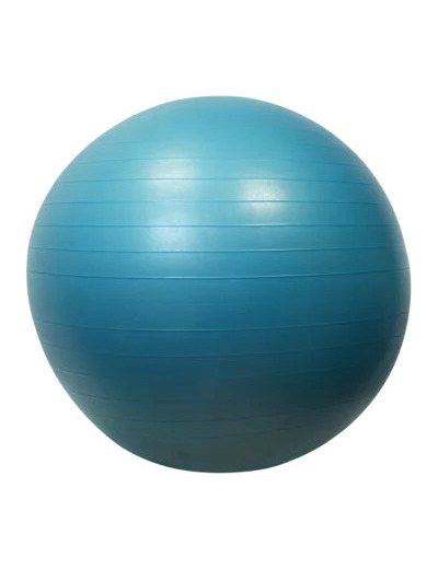 Gymball/balle gymnique 65cm