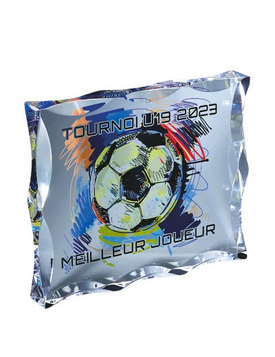 Trophee plexi epaiss 25mm h.18x15cm