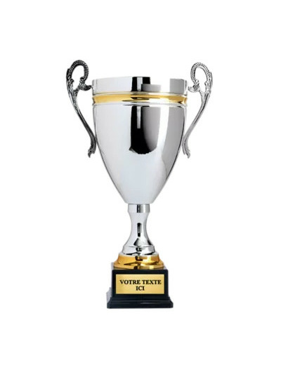 Coupe prestige argent/or hauteur 51