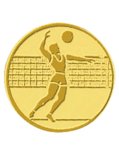 Pb 104 volley homme alu 25mm