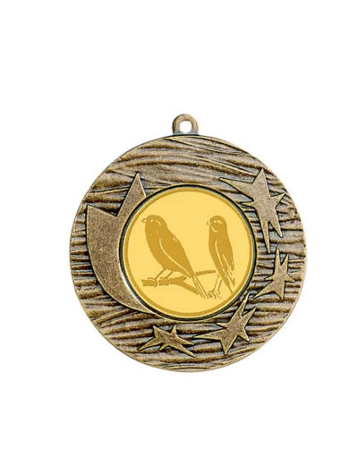 Medaille fer diam45mm bronze