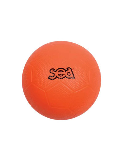 Ballon handball 1er pas