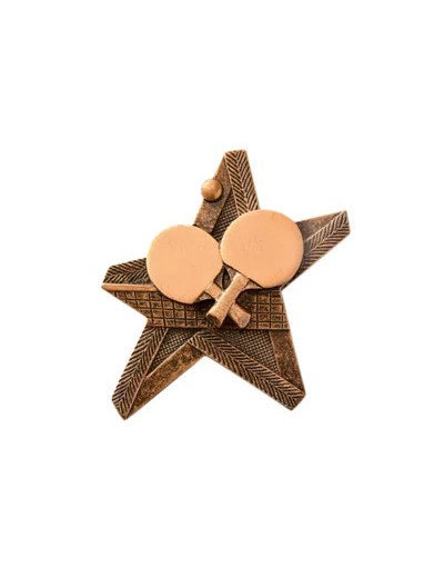 Applique resine etoile equitation h