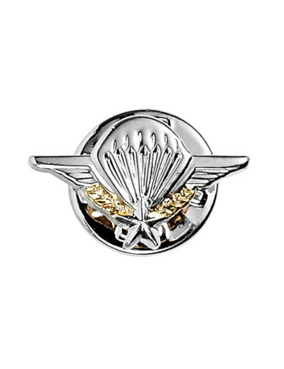 Brevet parachutisme petit modèle