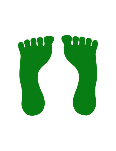 Couleur-0caeda29-8f0d-4995-a526-69b00809f865