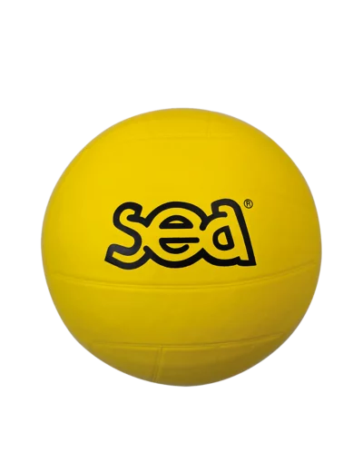 Ballon multisport