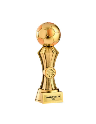 Trophee resine discipline or footba
