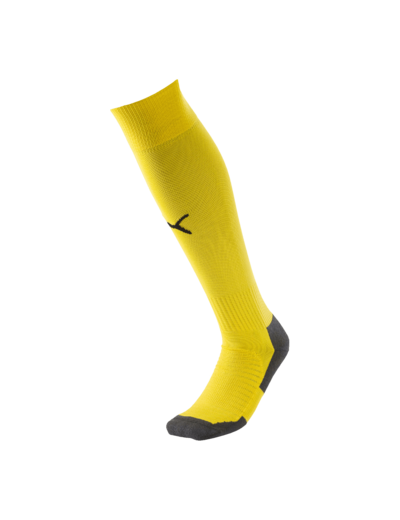 Chaussettes liga core