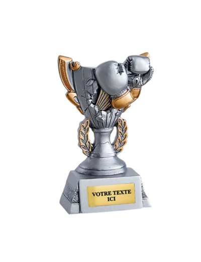 Trophee resine discip sp de combat h11cm