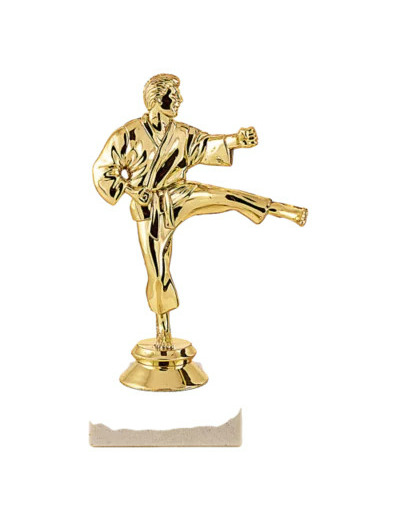 Trophee sujet plas or karate h 15cm