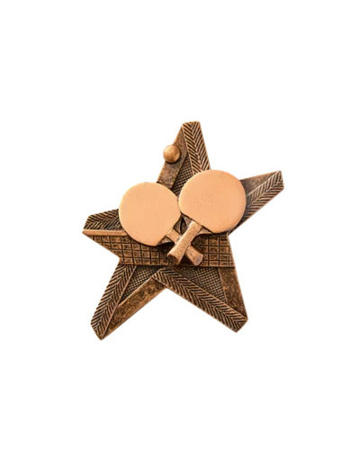 Applique resine etoile equitation h