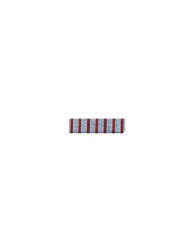 Dixmude croix du combattant