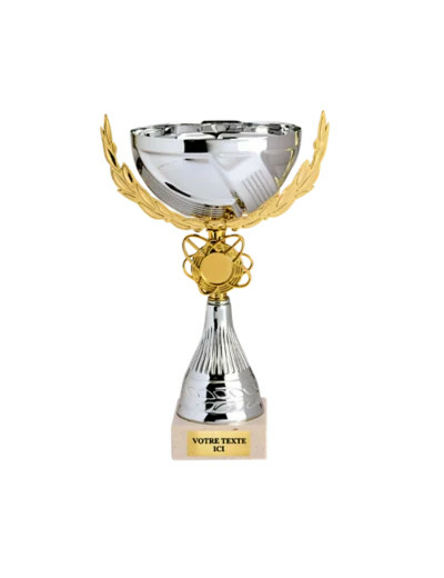 Coupe classique argent/or hauteur 2