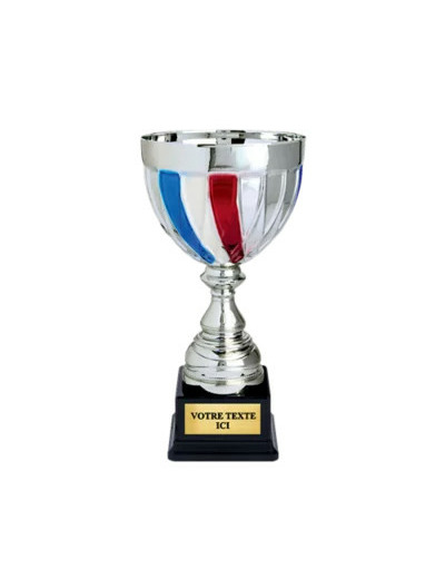 Coupe classique argent/bleu/blanc/r