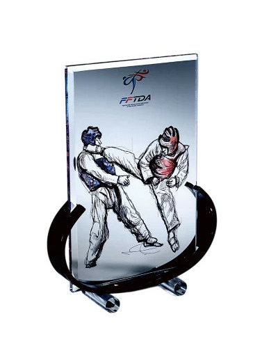 Trophee plexi epaiss 10+4mm h.27 cm