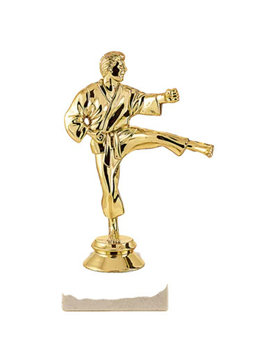 Trophee sujet plas or karate h 15cm