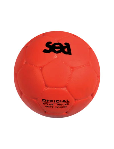 Ballon school composite sea