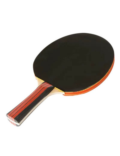Tennis de table - raquette entraine