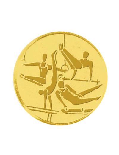 Pa 47 gym homme alu 50mm