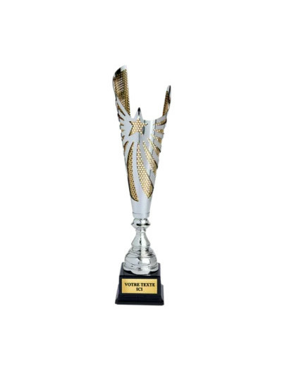 Coupe classique argent/or hauteur 4