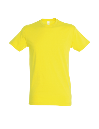 Couleur-cdd8f10a-e9b1-4817-9d52-9bac21bb4db2