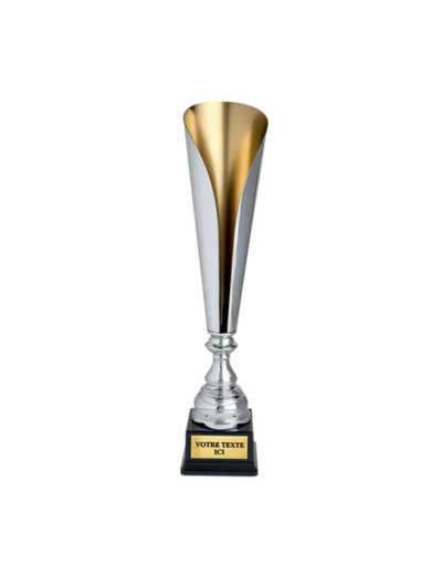 Coupe classique argent/or hauteur 5