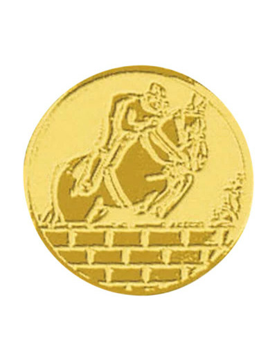 Pb 37 equitation alu 25mm